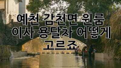 예천 감천면 원룸 이사, 용달차 어떻게 고르죠?